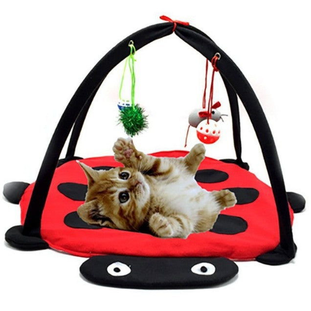Cat Tent with toys