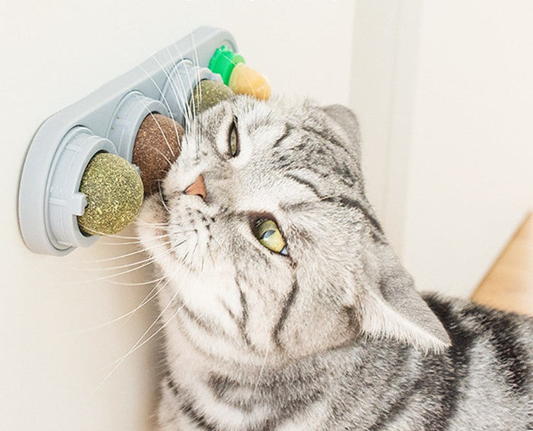 Catnip and Cat candy Set