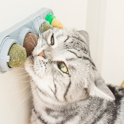 Catnip and Cat candy Set