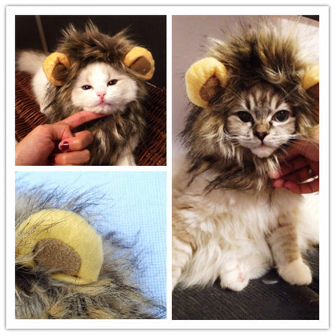 Cat lion wig