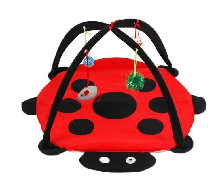 Cat Tent with toys