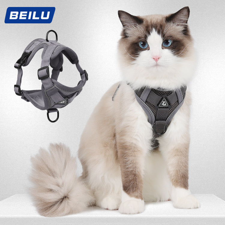 Cat Harness