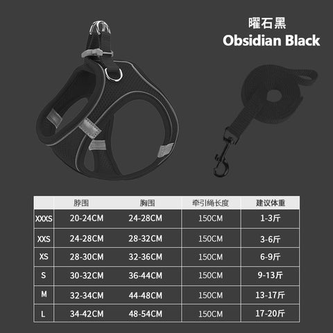 NEW Dog harness and leash