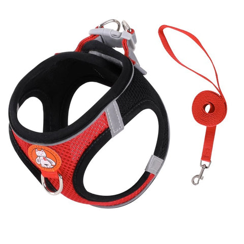 cat harness and leash