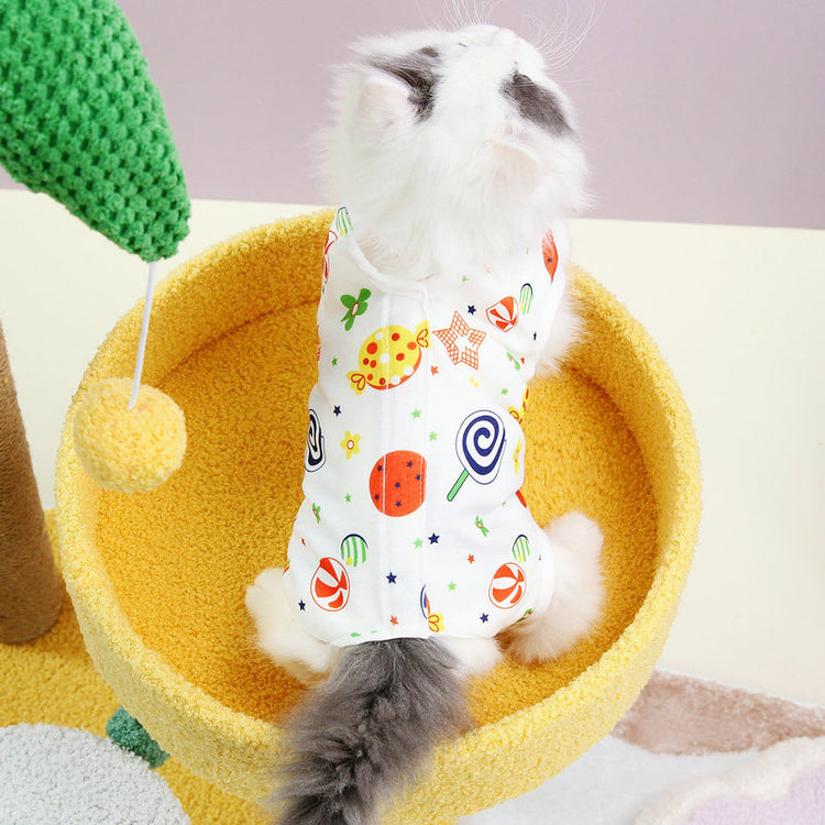 Cute cat clothes