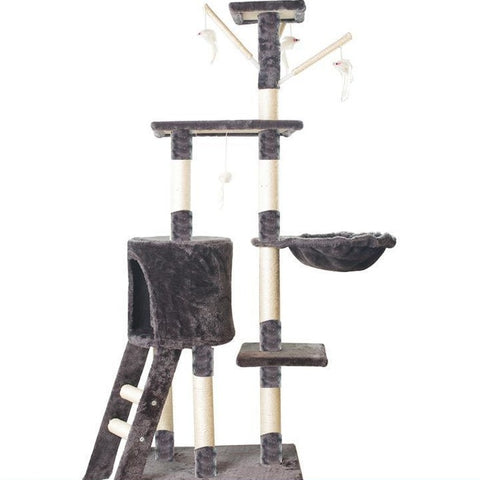 5 Story Cat Climbing Tree