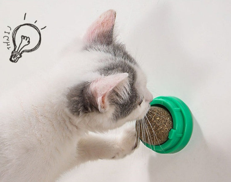 Catnip Ball Mint Flavor