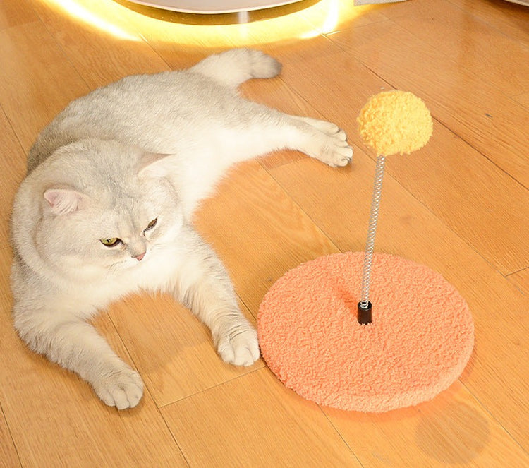Cat Toy