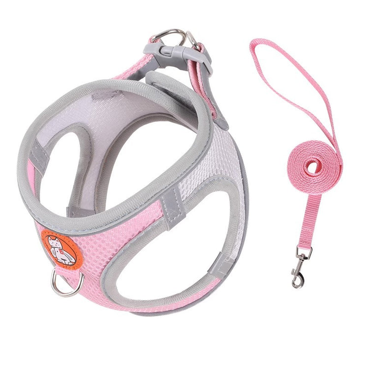 cat harness and leash