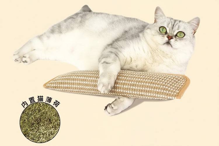 Cat Pillow with Catnip