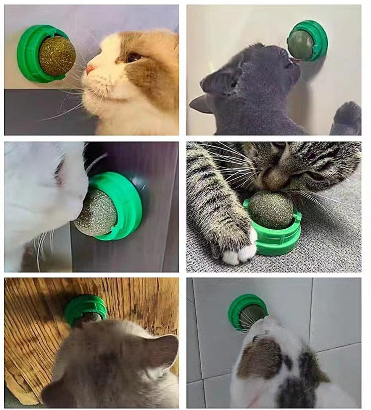 Catnip Ball Mint Flavor