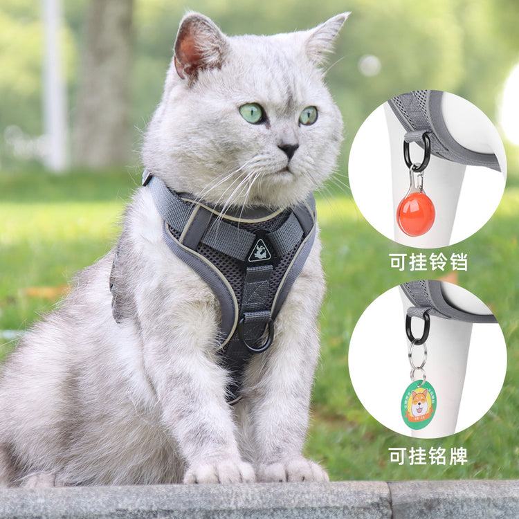 Cat Harness