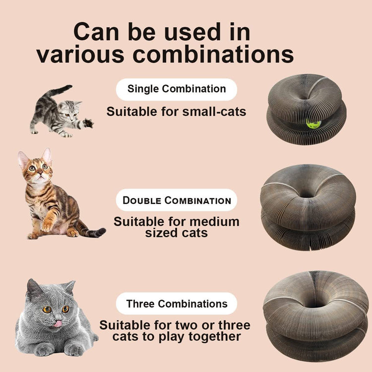 New Cat Trending toy