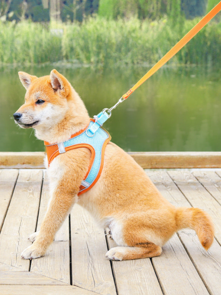 NEW Dog harness and leash