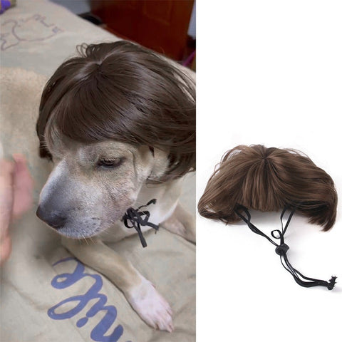 Dog Wig
