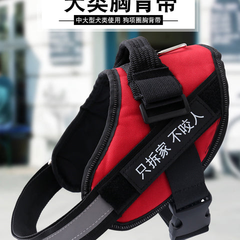 Dog Harness
