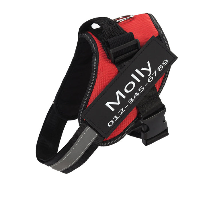 Dog Harness