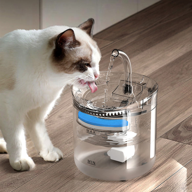 Pet water dispenser automatic cycle fountain