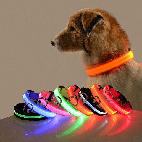 Dog Collar with LED lights