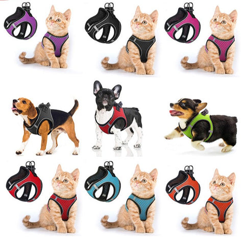 Pet Harness