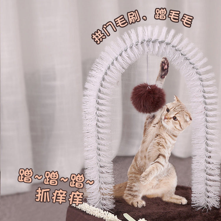 Cat Toy and scratch Device