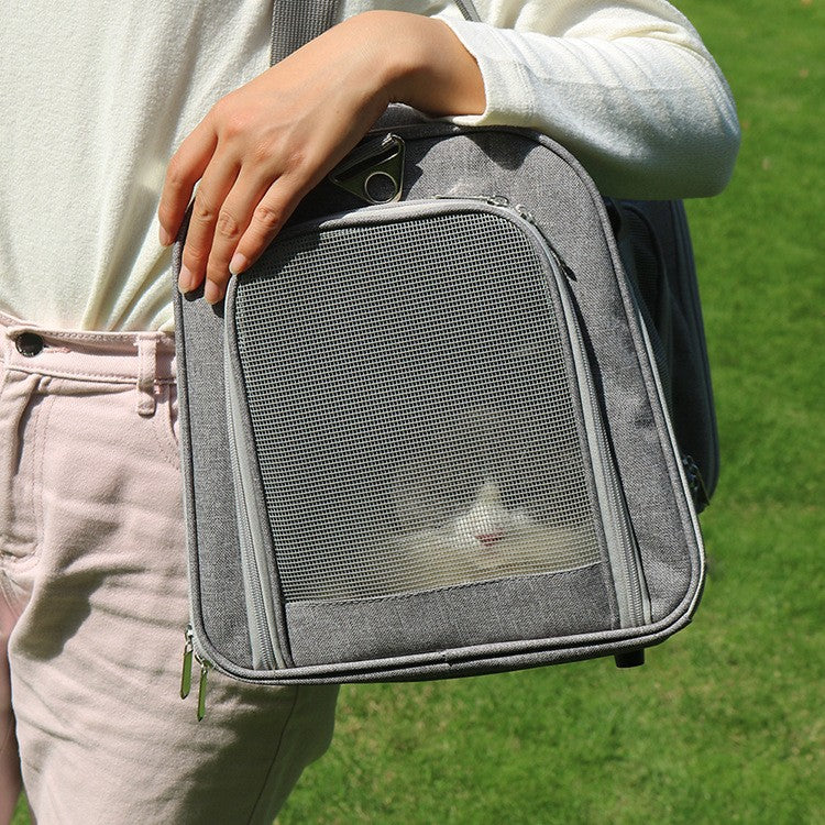 Pet carrier with pet mat