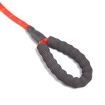 Pet Walking leash