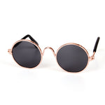 Cat Glasses