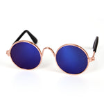Pet Sun glasses