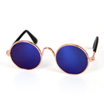 Cat Glasses
