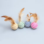 Cat Ball Toy with feather