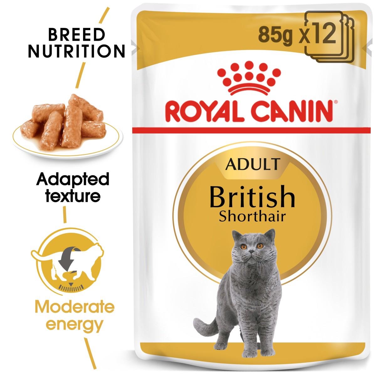 Royal Canin British shorthair chunks 85g
