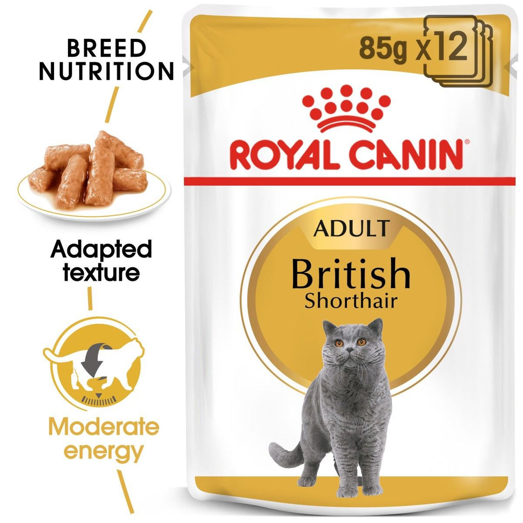 Royal Canin British shorthair chunks 12 pcs 85g