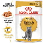 Royal Canin British shorthair chunks 12 pcs 85g