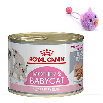 Mother & Kitten mousse 195g Royal Canin