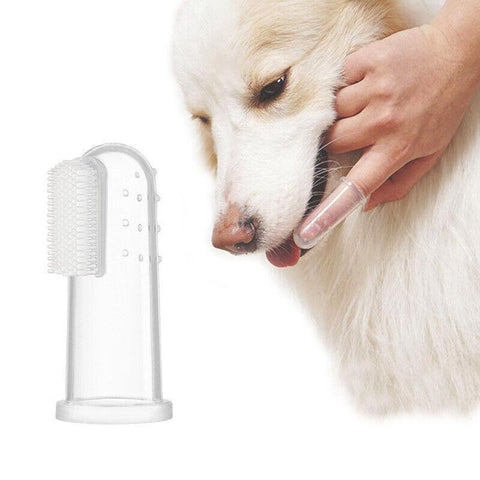 Pet tooth cleaning set (5 pieces per set)
