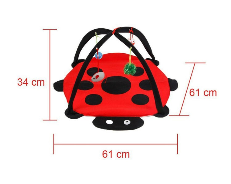Cat Tent with toys