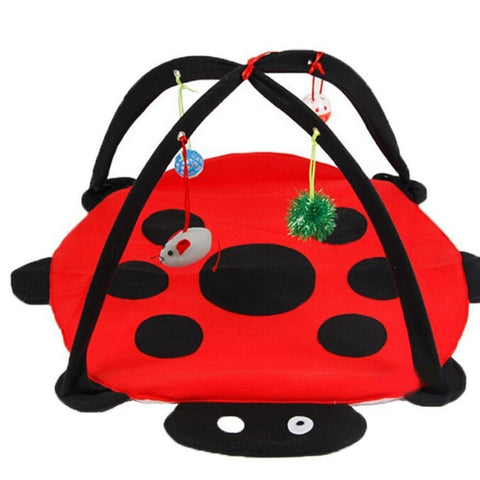 Cat Tent with toys