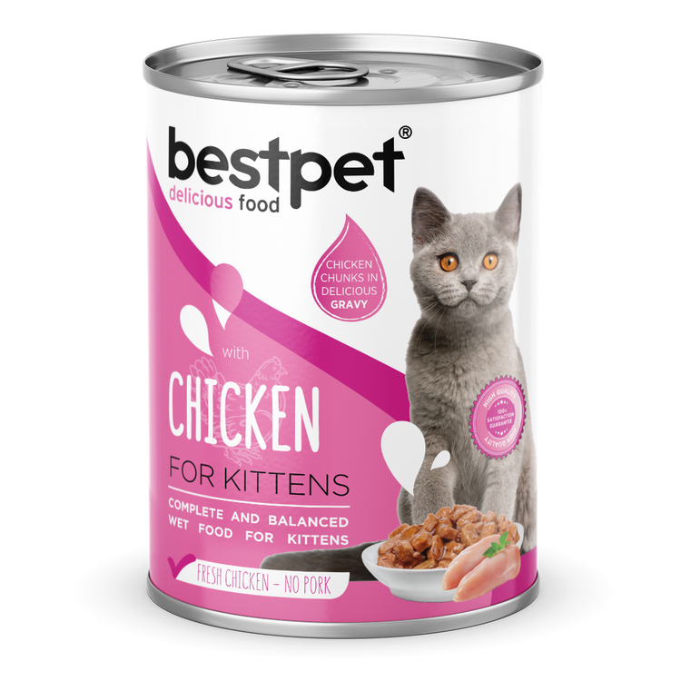 BestPet Kitten Chunks 12 pcs Chicken in Gravy 400g