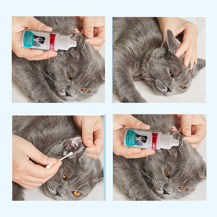 BIOLINE - PET EAR MITE TREATMENT 30ML