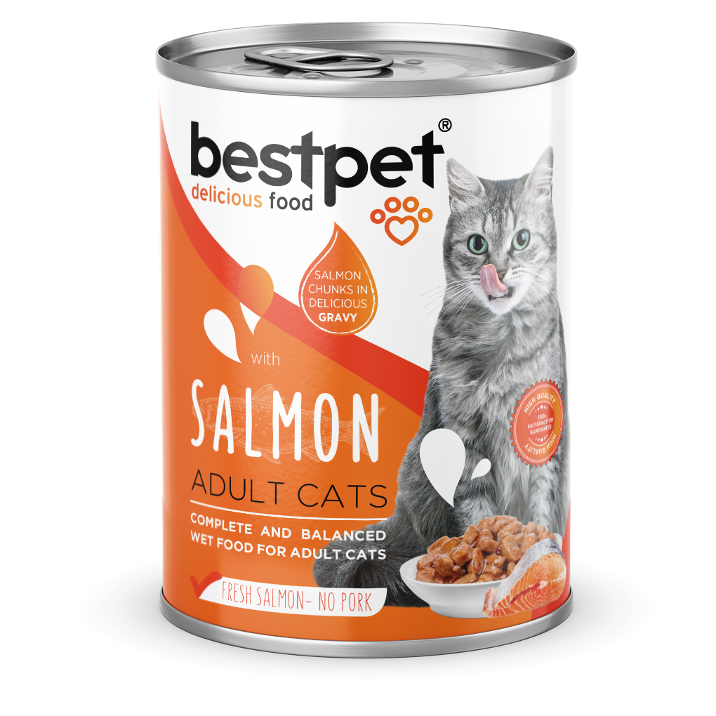 BestPest Adult Chunks Salmon in Gravy 400g