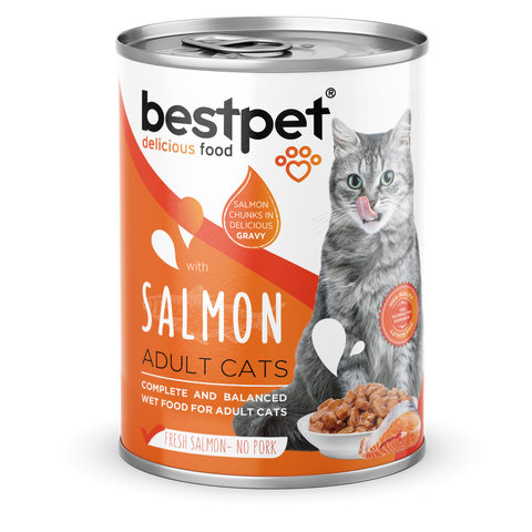 BestPest Adult Chunks Salmon in Gravy 400g