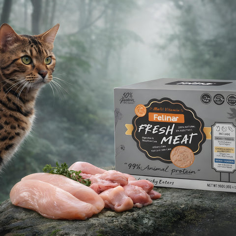 Felina Fresh Meat Multivitamin wet food Mix 12 pcs  (Chicken , Salmon , Rabbit)