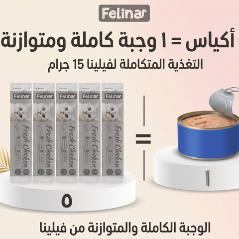 Felina cat treat Multivitamin formula Fresh Chicken packaging 4pcs 15g for hairball control and digestive care and hypoallergenic formula