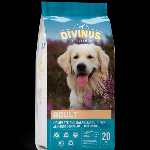 Divinus Dog Dry food chicken 20KG