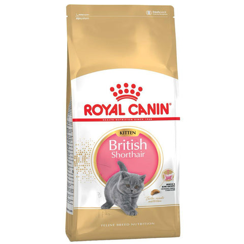 royal canin feline breed nutrition british shorthair kitten 2kg