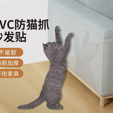 Cat Anti Scratch