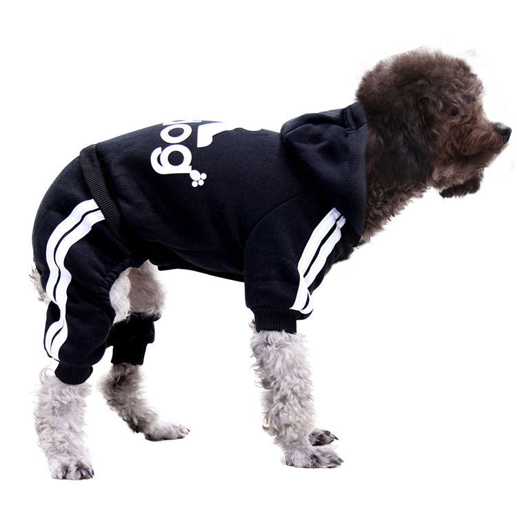 Dog clothes