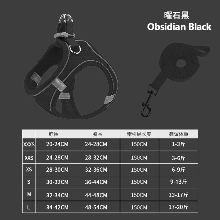 NEW Dog harness and leash