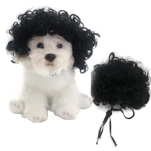 Dog Wig